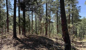 156 Lake View Cir, Bayfield, CO 81122