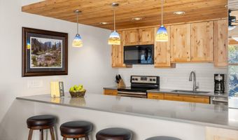 1039 E COOPER Avenue 21A, Aspen, CO 81611