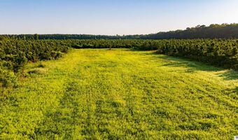 CARPENTER ROAD, Bastrop, LA 71220
