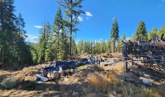 Meadowlark Drive Lot 700, Bonanza, OR 97623