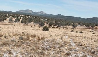 98- C Ten Tanks Rd, Ash Fork, AZ 86320