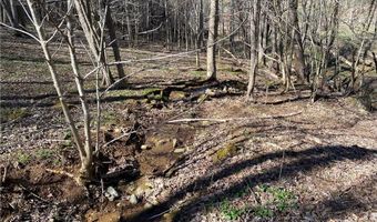 Lot 5 Lakespur Trail, Banner Elk, NC 28604