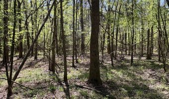 SW Auburn Drive, Bogue Chitto, MS 39629
