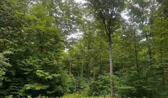 40 Acres The Grade, Amasa, MI 49920