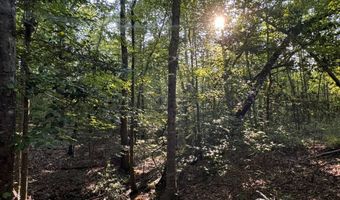 0 Military Rd, Beaverton, AL 35544