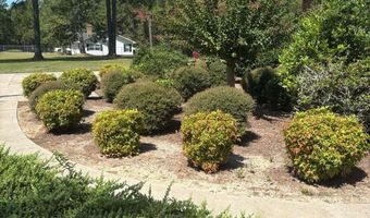 330 Warwick Hwy, Ashburn, GA 31714