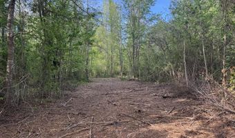 1311 N Jackson St, Brookhaven, MS 39601