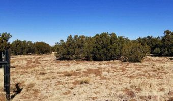29 County Road 8069, Concho, AZ 85924
