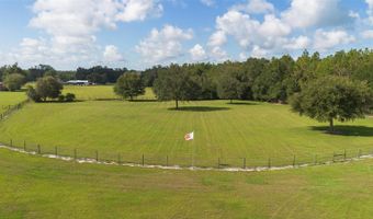 42415 BIG OAK Rd, Altoona, FL 32702