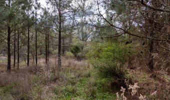 Tbd Pump Station Rd, Ashdown, AR 71822