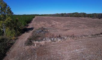 53 86 Acres-TBD Pate Rd, Bishopville, SC 29010