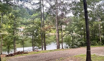 6714 COUNTY ROAD 40 LOT 12, Arley, AL 35541