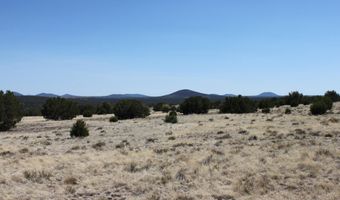36 County Road 8249, Concho, AZ 85924