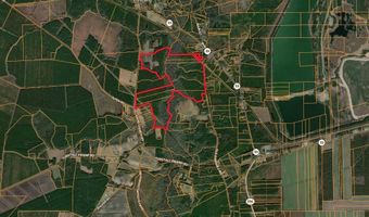 Sr 1932, Aurora, NC 27806