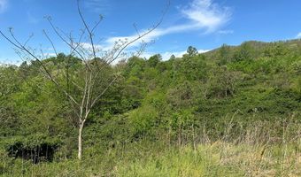 12 Acs Gidsville Rd, Amherst, VA 24521