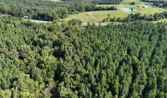 Highway 58, Baskerville, VA 23915