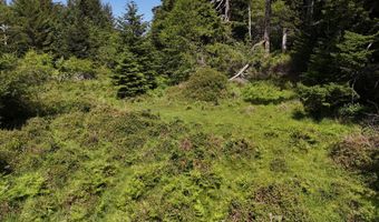 20452 Whaleshead Rd, Brookings, OR 97415