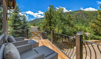 153 W Lupine Dr, Aspen, CO 81611