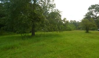 967 SE Bogue Chitto Rd, Bogue Chitto, MS 39629