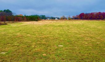 Tract 4 County Road 89, Anderson, AL 35610