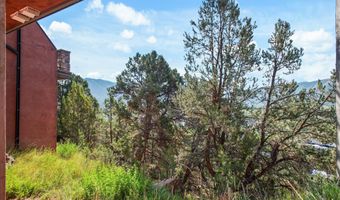 404 Wild Spring Ln, Basalt, CO 81621