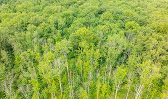65 Acres 107th Ave, Allegan, MI 49010