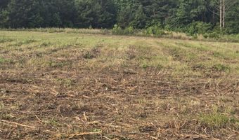 0 Mccormick Hwy Hwy, Lincolnton, GA 30817