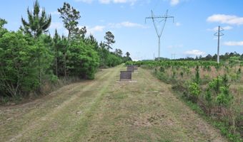 17668 Flatwoods Rd, Altha, FL 32421