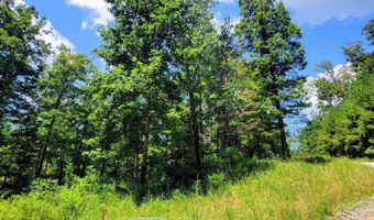 Lot 25 Legendary Parkway, Arley, AL 35541