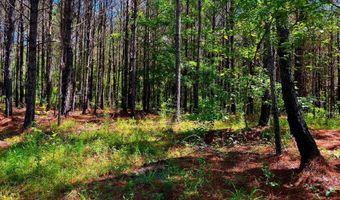 Arthur Drive, Brookhaven, MS 39601