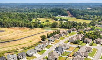 10623 Flicker Way, Apison, TN 37302
