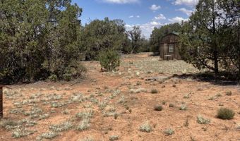 00 Off Of Rainy Rd, Ash Fork, AZ 86320