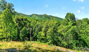 298 Wolf Xing, Bakersville, NC 28705