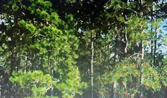 SW 194 ST ARCHER FL 32618 - O4462-011-000, Archer, FL 32618