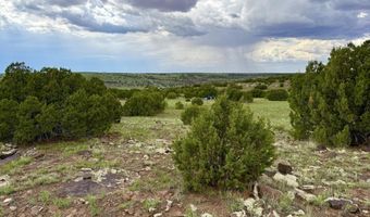 127 Co Rd 8051, Concho, AZ 85924