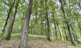 1 Prentiss Crump Rd, Terry, MS 39170