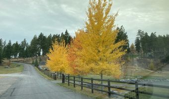 1173 Cygnet Trl, Bigfork, MT 59911