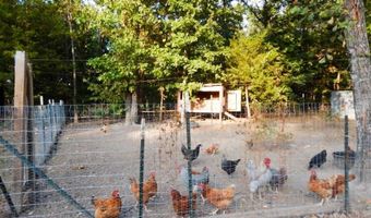3191 State Hwy Dd Pvt Dr B Tract 5, Ava, MO 65608