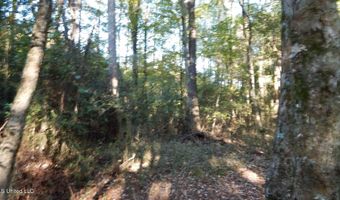 20 Ac. 9 Hwy, Bruce, MS 38915