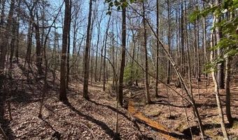 12 68 Acre 99 Rd, Blair, SC 29015
