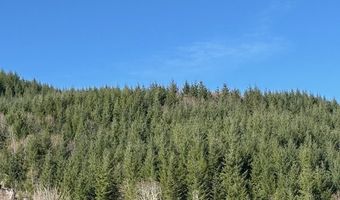 Logsden Rd, Blodgett, OR 97326