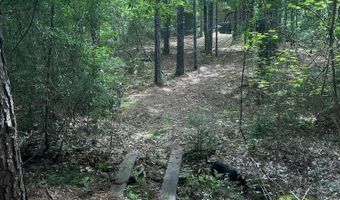 259 Forest Lake Rd, Beaumont, MS 39423