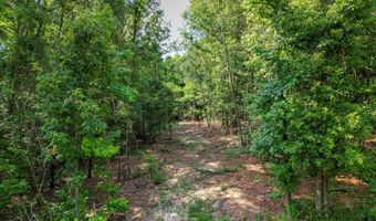 Cypress Point Lane lot 6, Beech Island, SC 29842