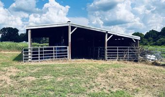 970 Ross Raines, Albertville, AL 35951