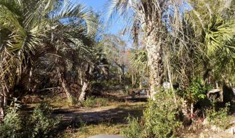 11090 107 Ter, Archer, FL 32618