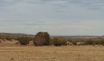 42 N5576, Concho, AZ 85924