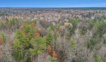 VL Wildwood Road, Alger, MI 48610