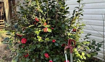 4149 Happy Hollow Rd, Asheboro, NC 27205