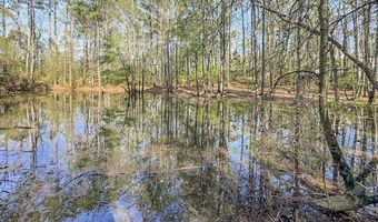 1560 NE Bens Trl, Brookhaven, MS 39601