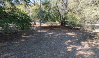 County Road 236 lot 2, Bell, FL 32619